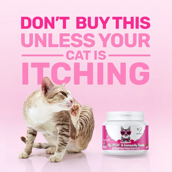 A high-contrast 1:1 image using a negative hook to qualify pet owners for an itching relief supplement.
